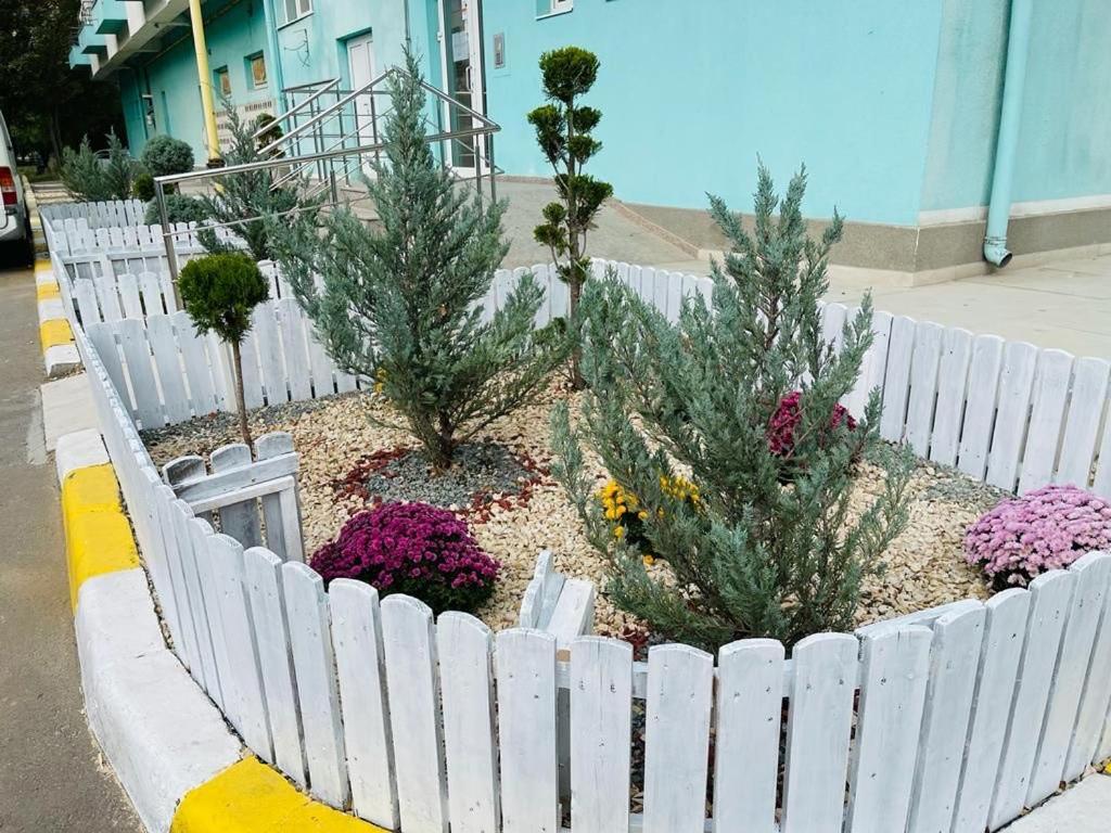 Maria Summer Apartaments Mamaia Eksteriør bilde